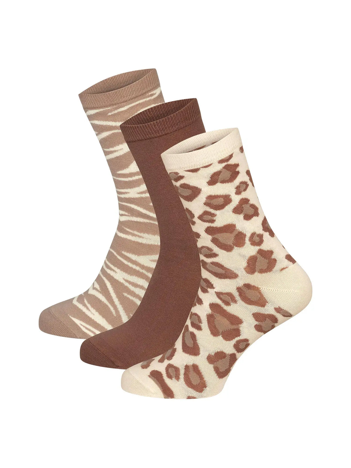 leoset / 35-38