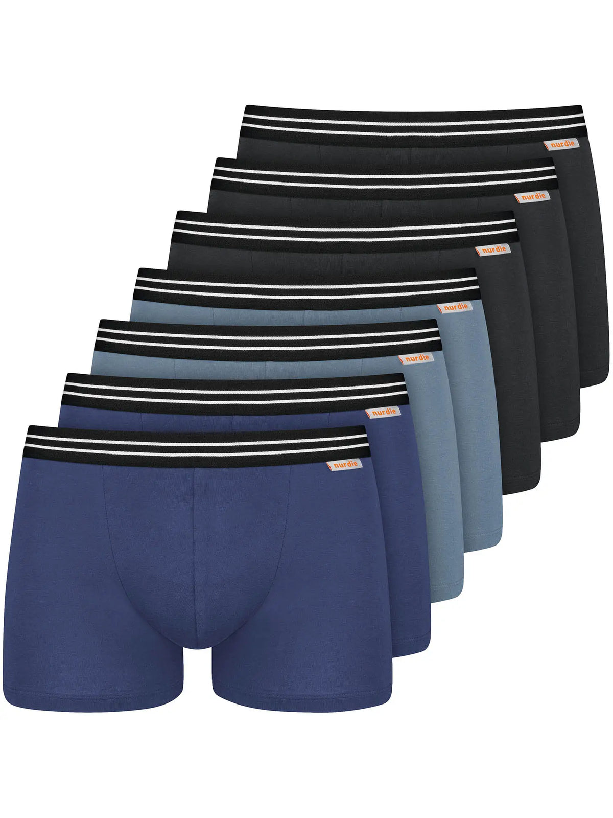 lightblue/violetblue / L