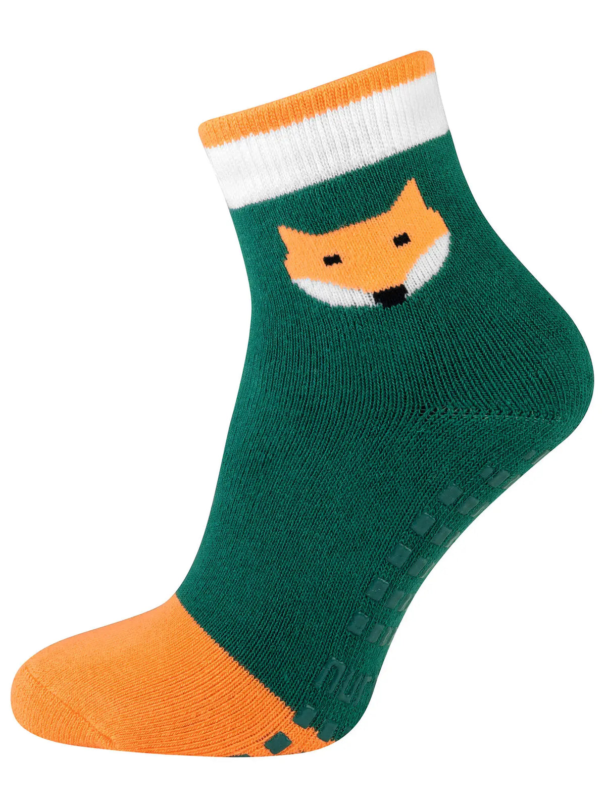 fox / 19-22