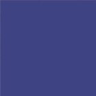 NUR DIE Damen Sneaker Socken Komfort